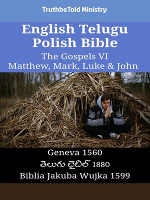 cover image of English Telugu Polish Bible--The Gospels VI--Matthew, Mark, Luke & John
